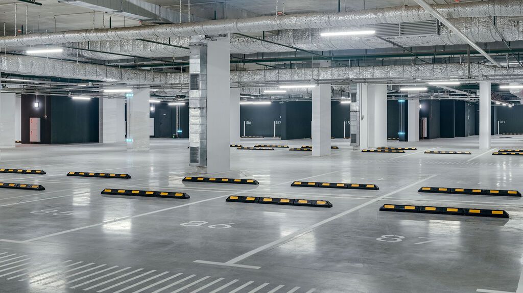 Янинский лес 4