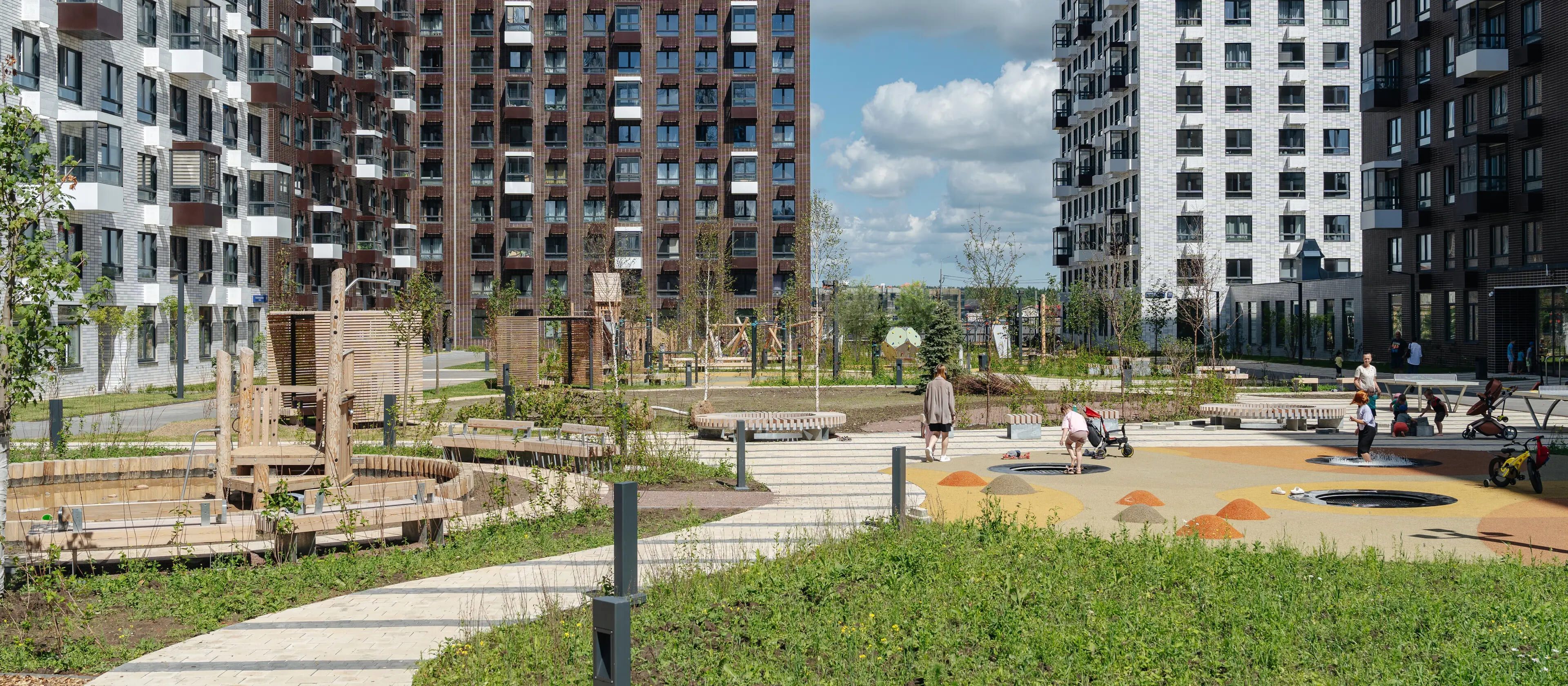 Янинский лес 9