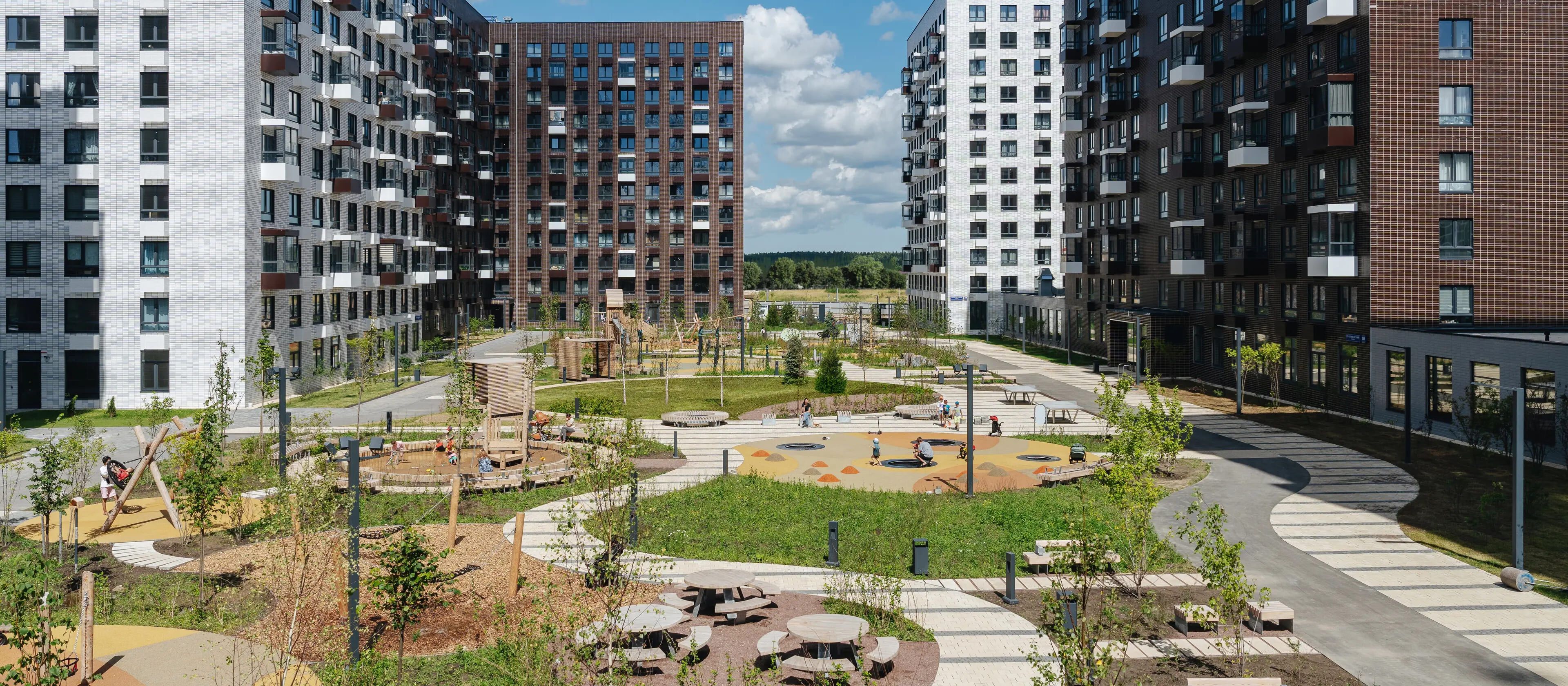 Янинский лес 6