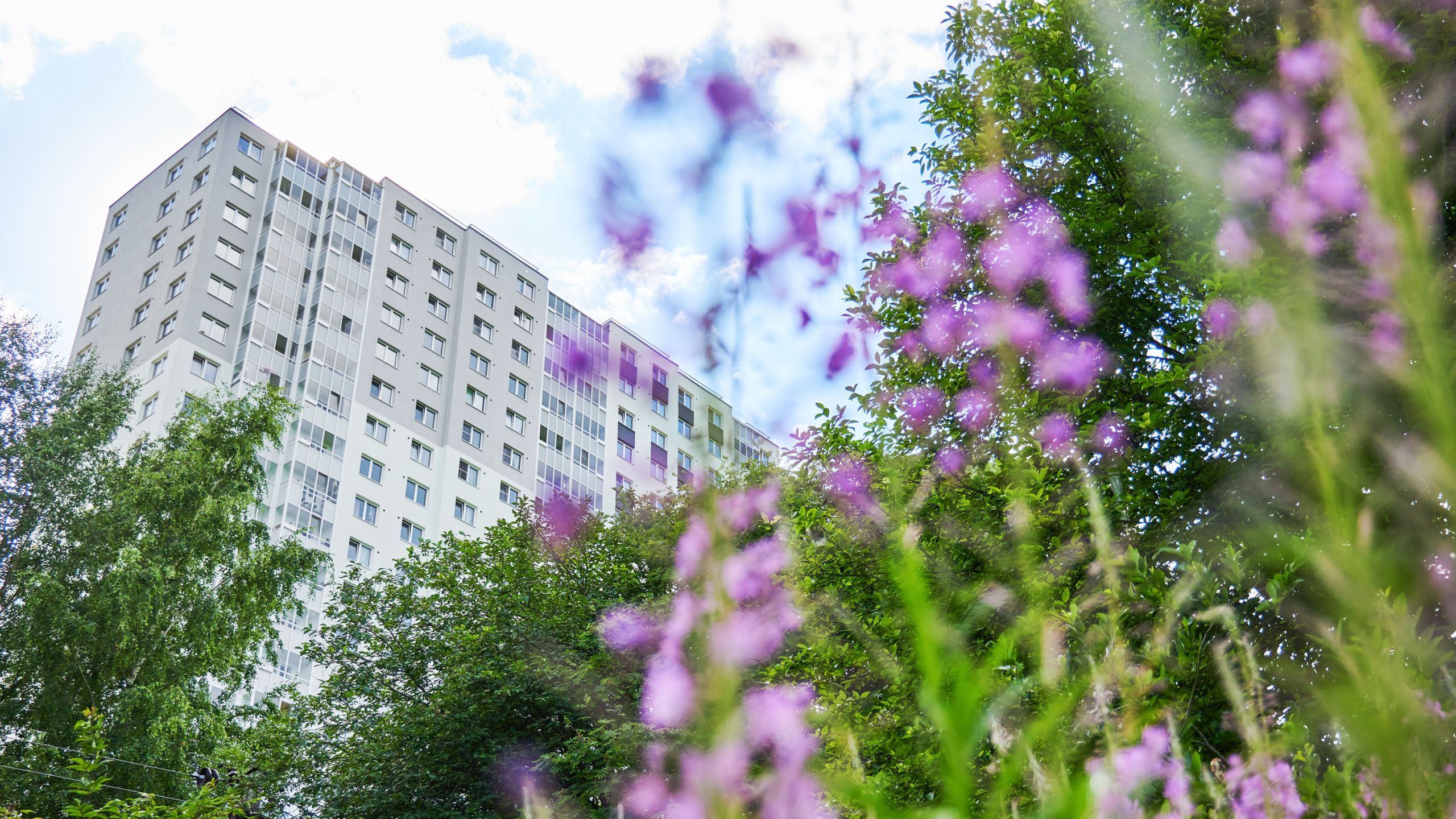 Цветной город 7