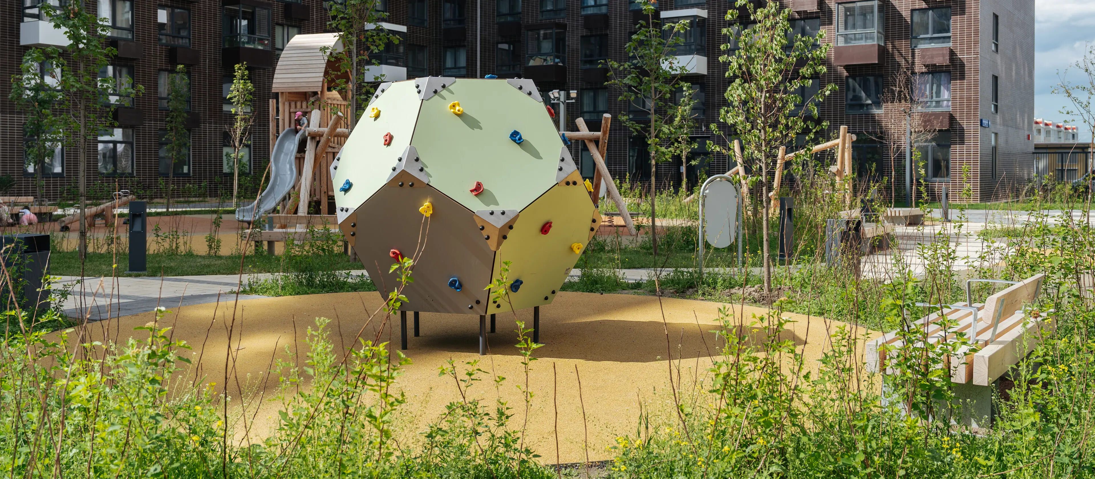 Янинский лес 10