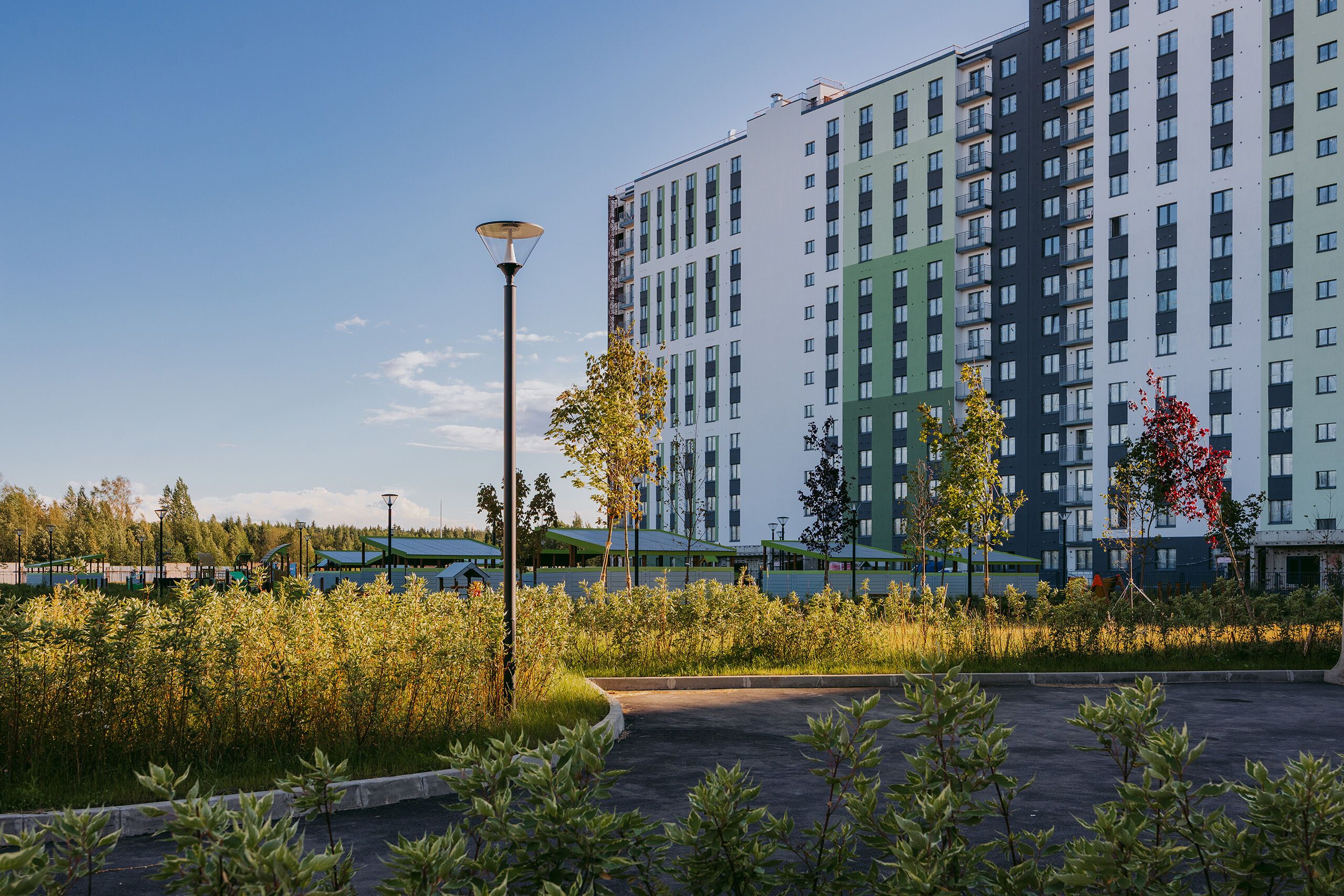 Ржевский парк 7