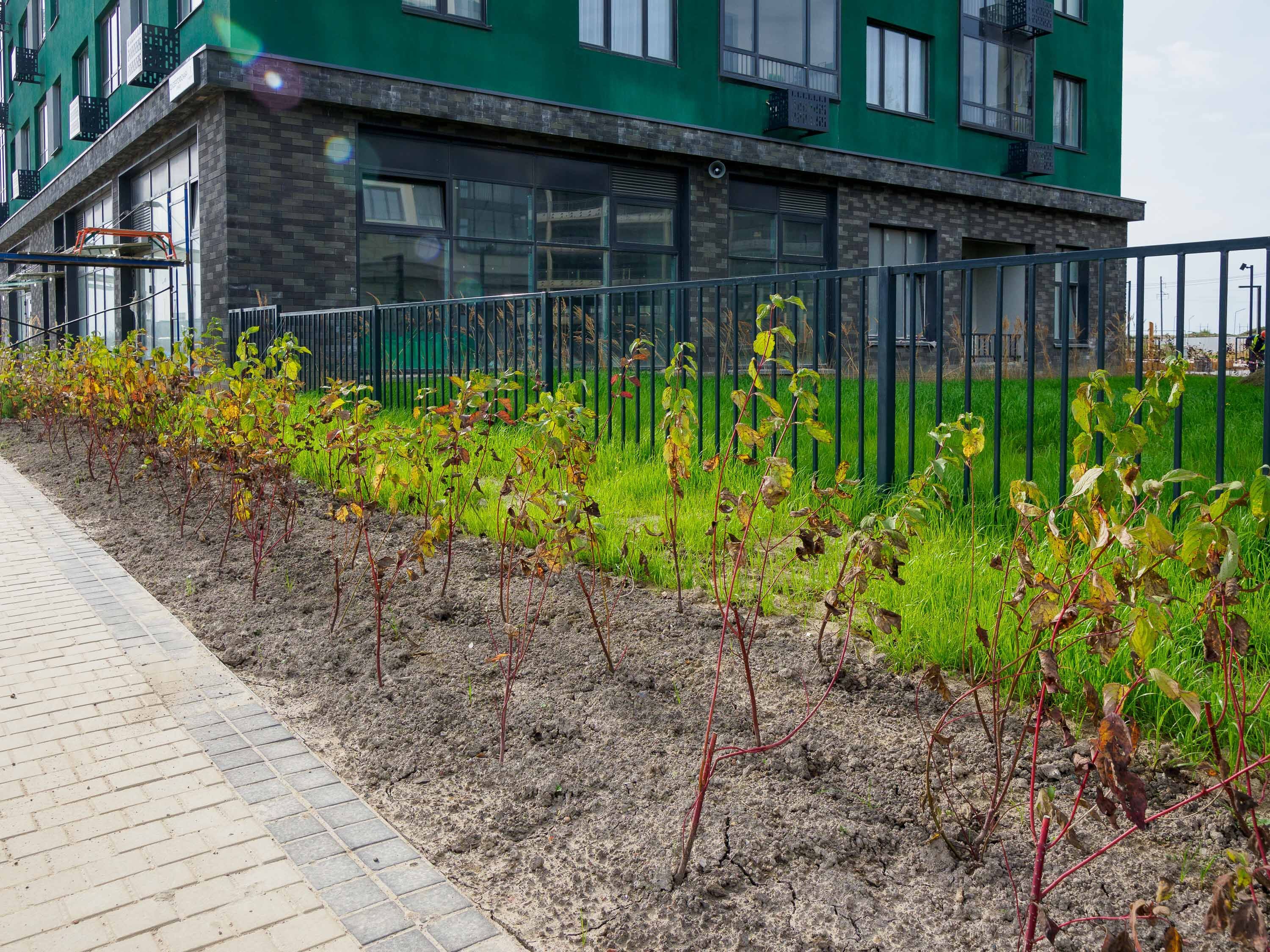 А101 Лаголово 9